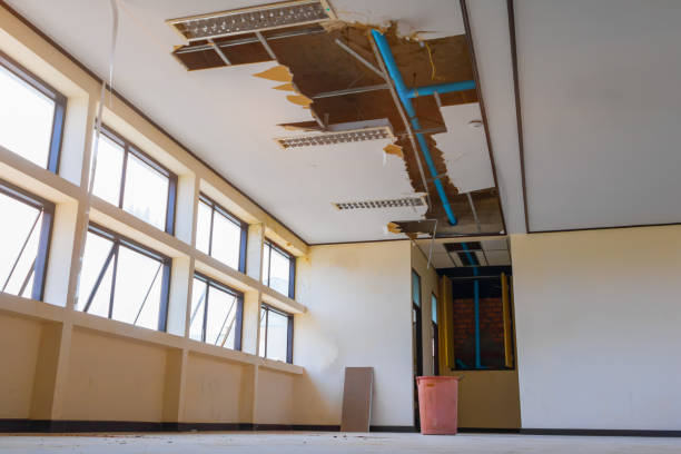 Carpet water damage restoration in WA