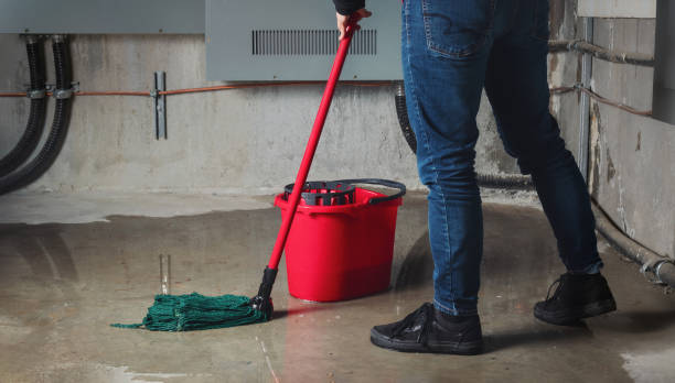 Best Emergency water damage restoration  in Meadow Glade, WA