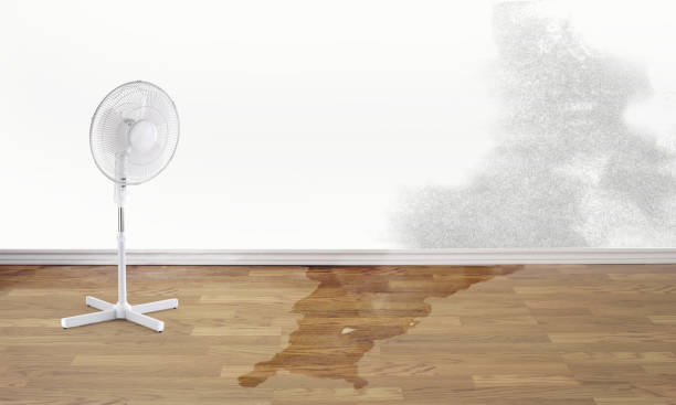 Best Flooded house restoration  in Meadow Glade, WA