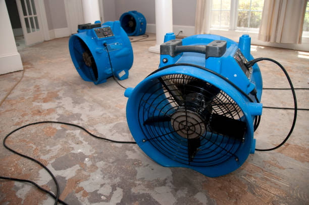 Best Commercial water damage restoration  in Meadow Glade, WA