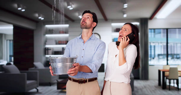 Best Residential water damage restoration  in Meadow Glade, WA